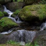 Natur Fotografie Lohnbachfall