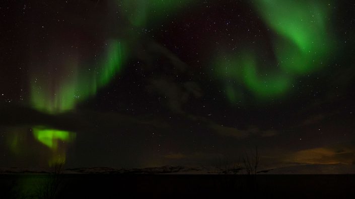 Kirkenes Nordlichter