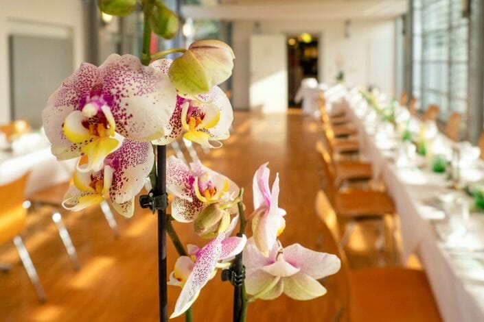 Hochzeit Botanischer Garten Linz Tischdekoration