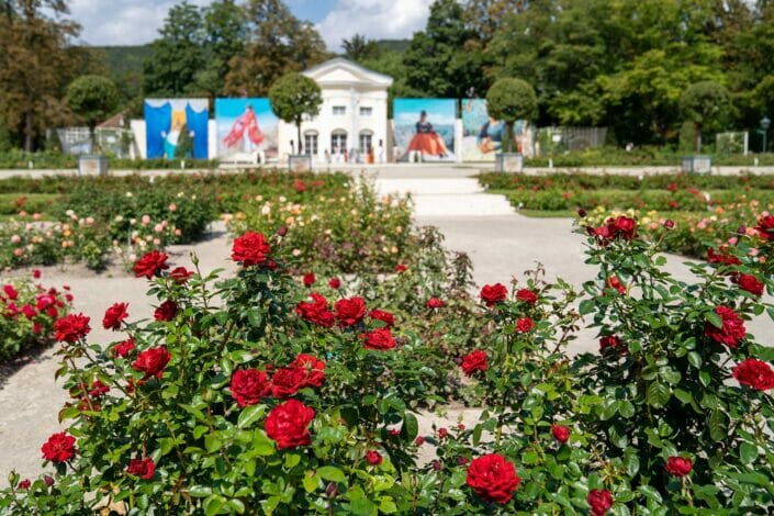 Rosarium Orangerie