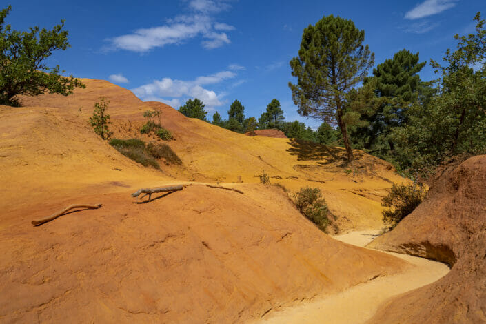 Colorado Provencal